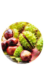 Ingrediente 1